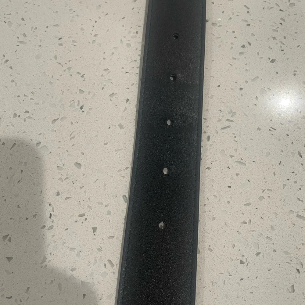 Helsa Logo Belt $150 Retail